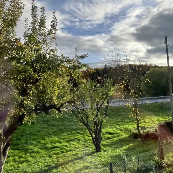 22.10.25 - 17h17 Image - 22.10.25.jpg
