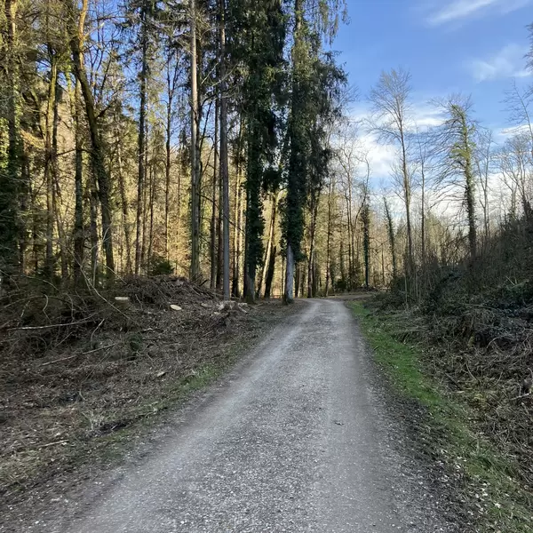 Image - 6.03.25.jpg