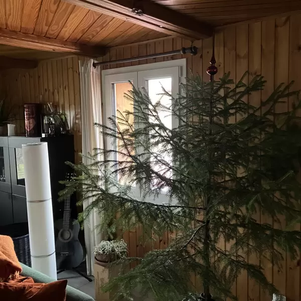 20.12.25 - 15h15 Image - 20.12.25.jpg