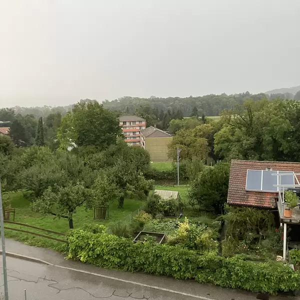 4.09.25 - 19h19 Image - 4.09.25.jpg