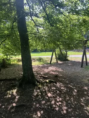 Image - IMG_8224.jpg