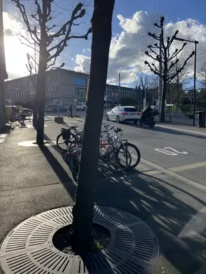 Image - 28.03.24.jpg