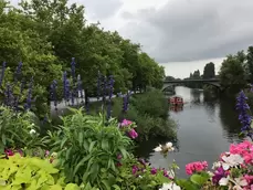L'Ems, près de Rheine