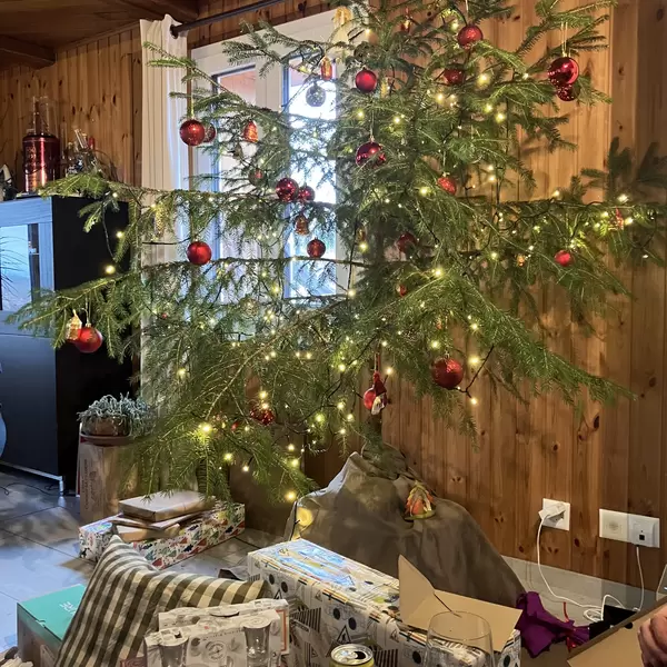 25.12.25 - 13h13 Image - 25.12.25.jpg