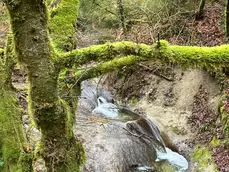 Ruisseau des Chaudeires, 25.02.23 Ruisseau des Chaudeires, 25.02.23